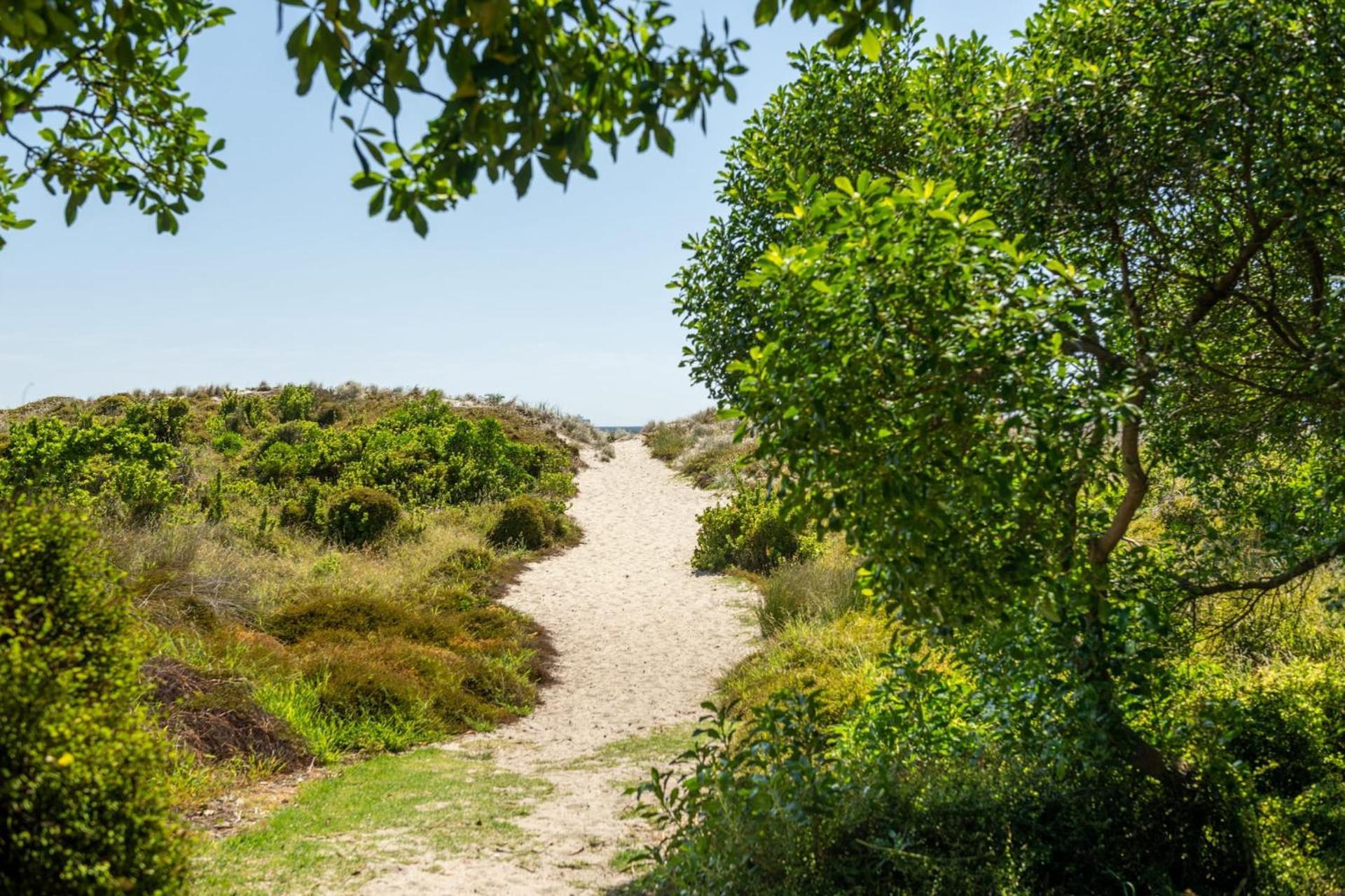 Ocean Beach Getaway เมาท์มองานุย ภายนอก รูปภาพ